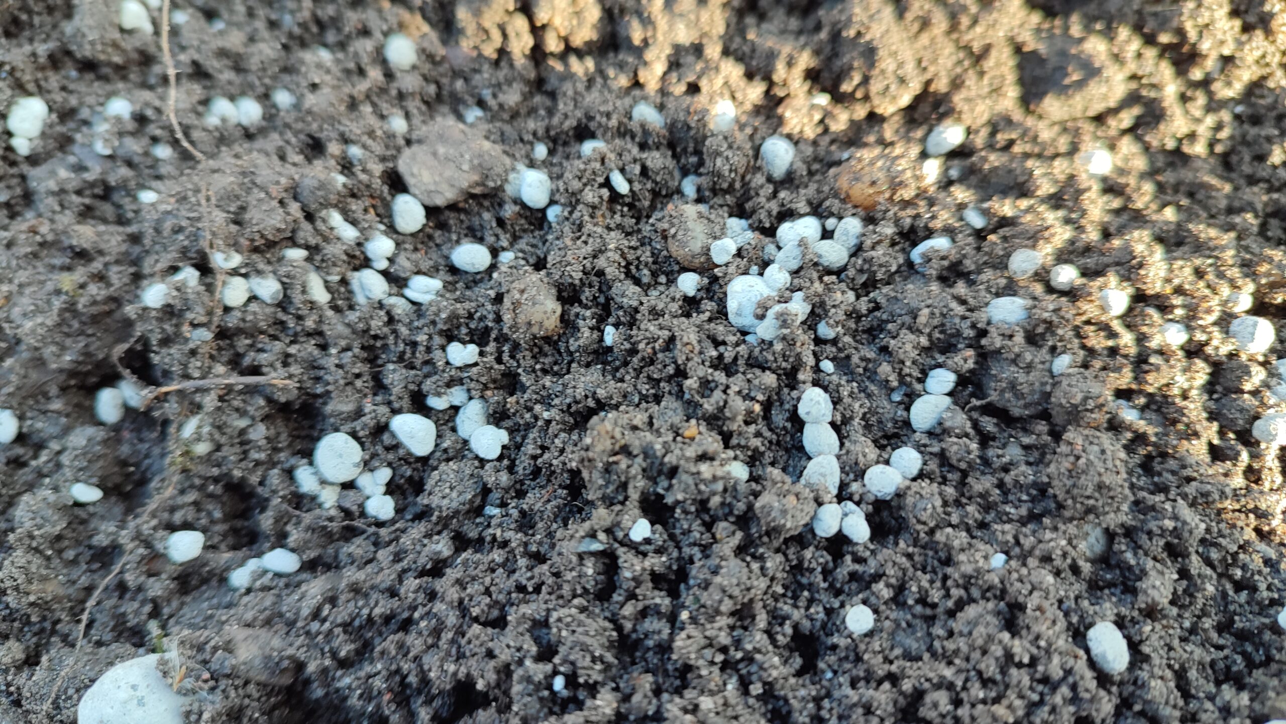 Skalno-Organiczny wapniowy polepszacz gleby - obrazek 2