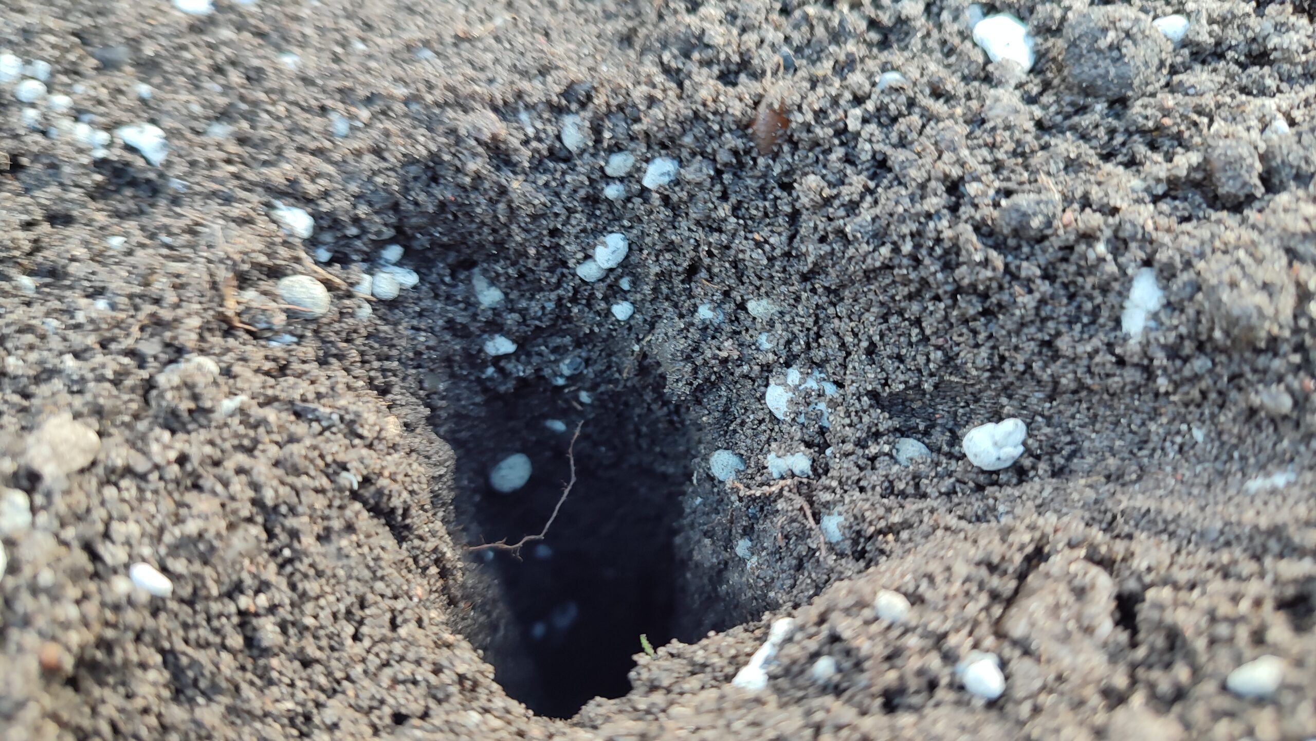 Skalno-Organiczny wapniowy polepszacz gleby - obrazek 3